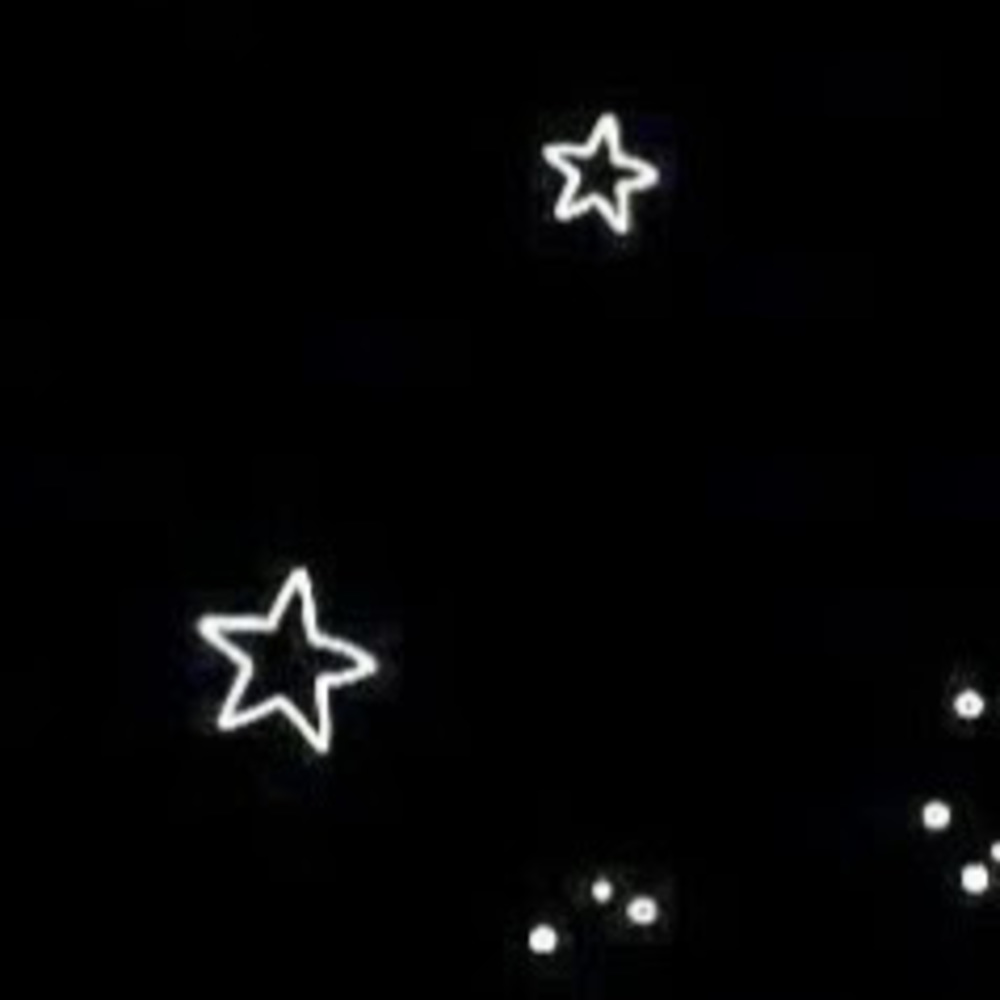 Meet your Posher, Zoie